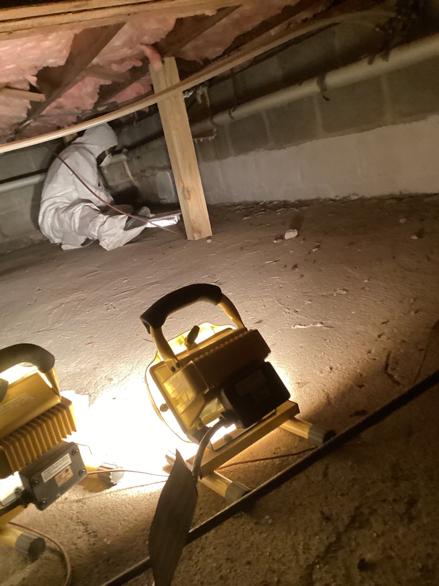 Crawlspace cleaning by Newhouse Restoration