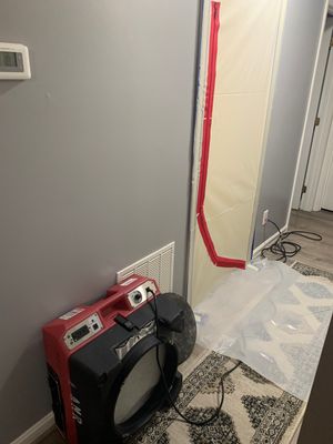 Interior Mold Remediation in Kitchen