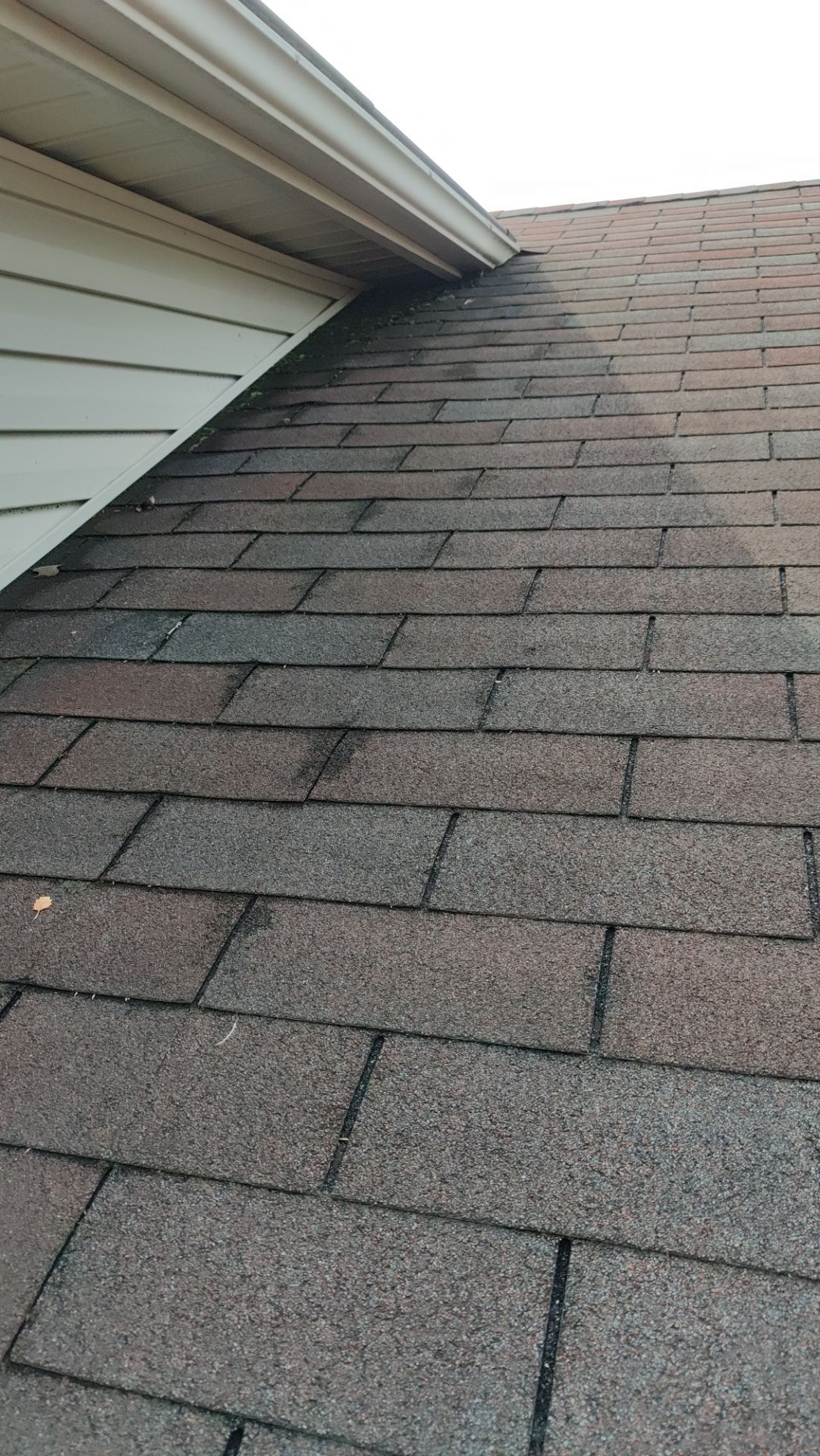 Roof Replacement using Owen Black Sable by 180 Contractors