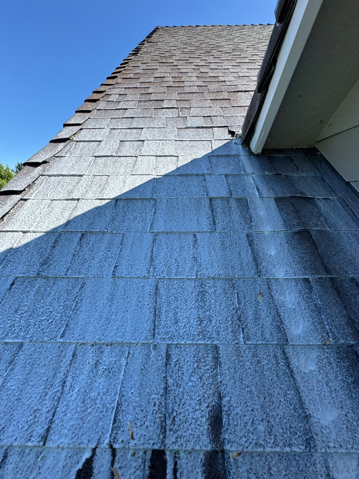 Project in Grants Pass by Roof Maxx of Grants Pass