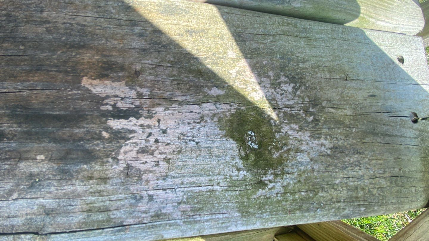 Coated Deck using Wood Sealant by DuraSeal
