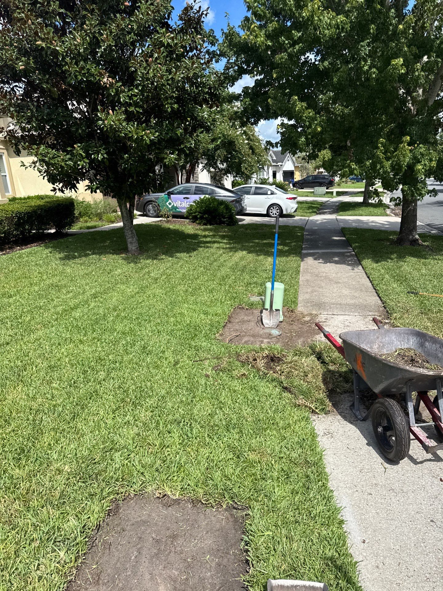 Residential | Sod Installation by ProGreen Services