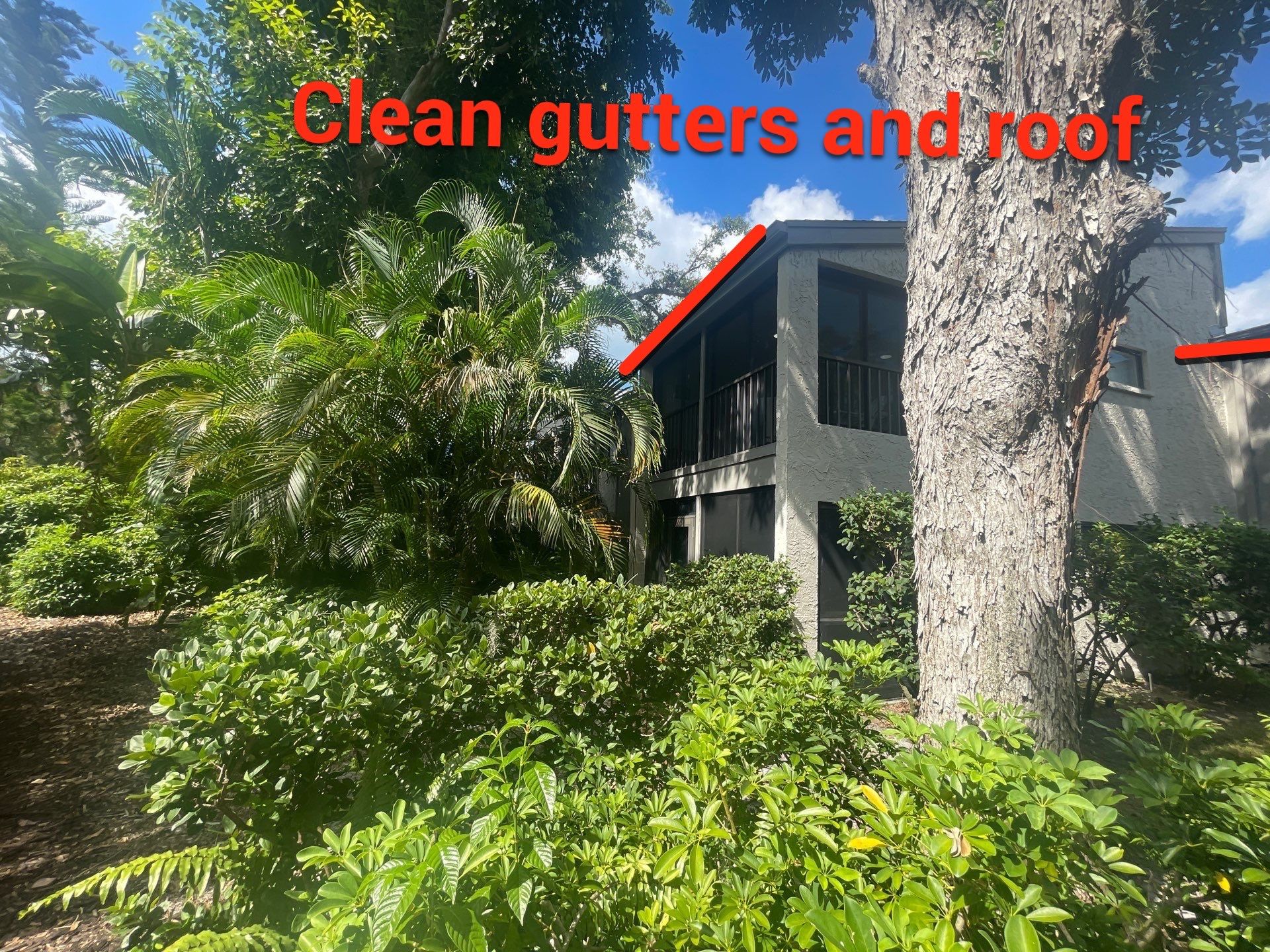 Clean Gutters and Roof in Sarasota FL by Gutter Professors