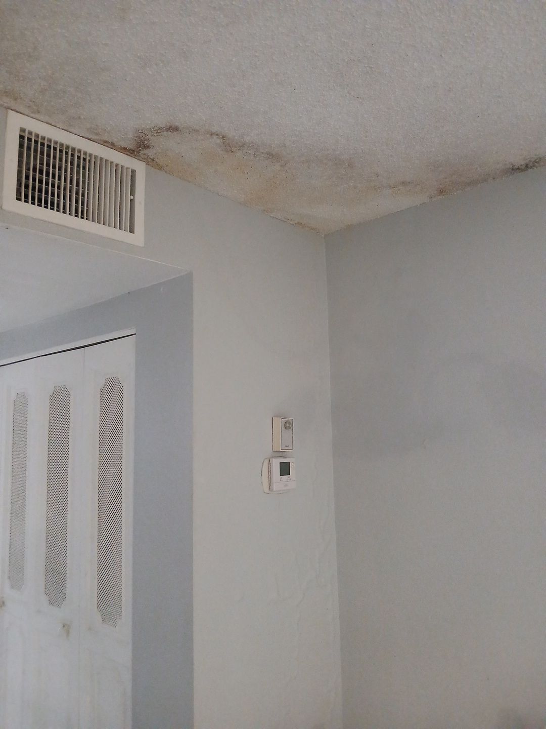 Mold Remediation and Moisture Detection Services in West Palm Beach by SuperClean