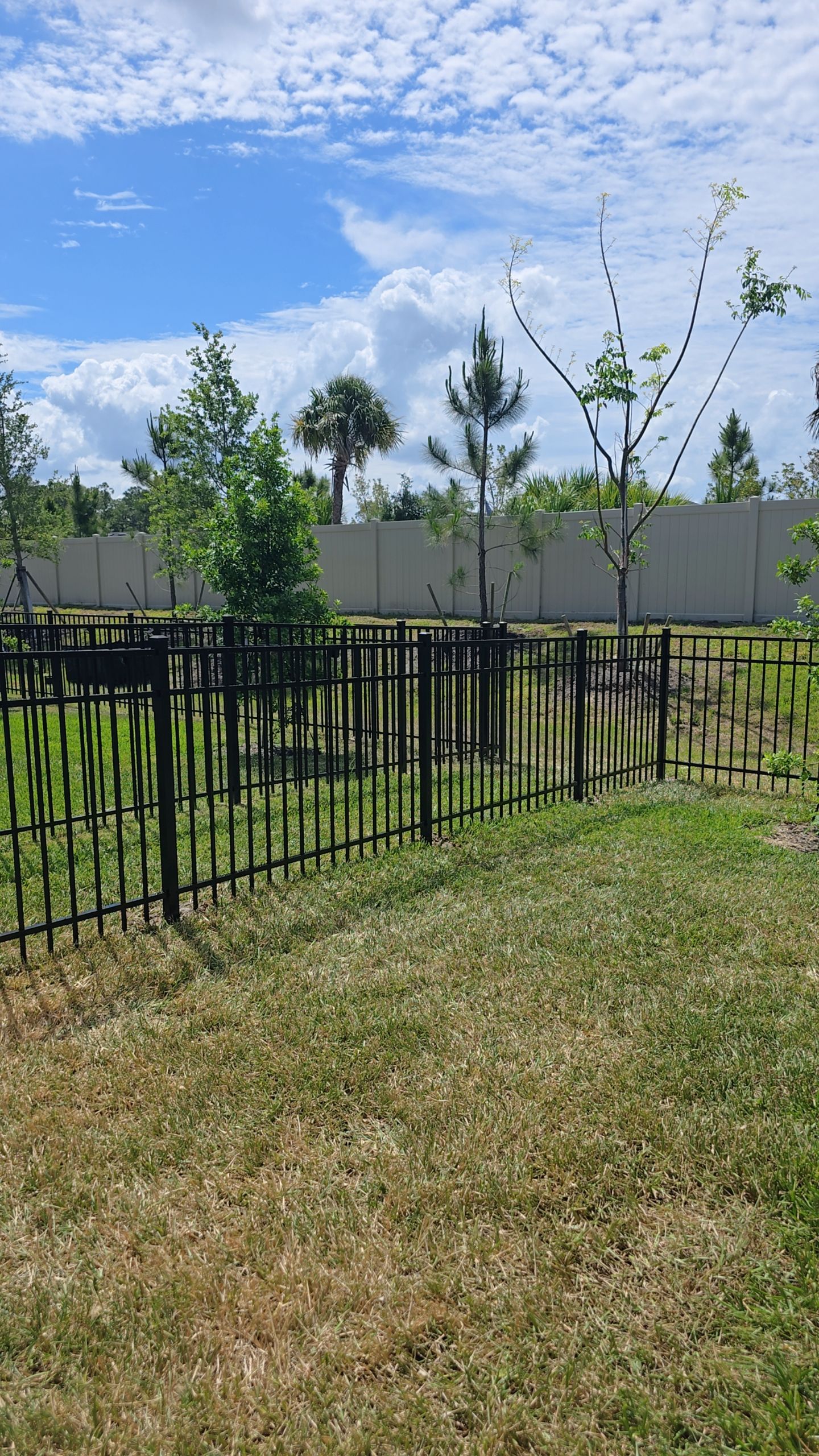Aluminum Fence in The Cove at West Port by True Fence LLC
