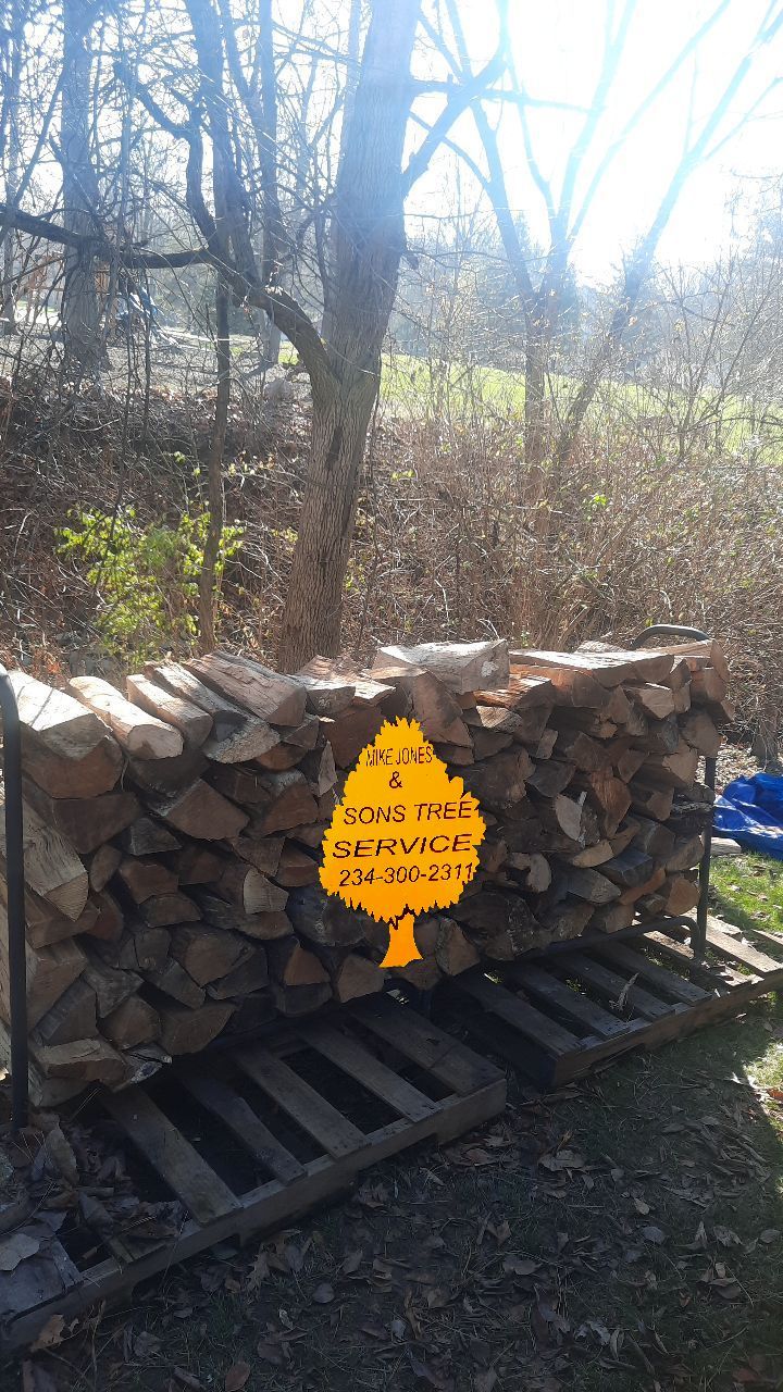Firewood Delivery  using Seasoned Firewood by Mike Jones & Sons Tree Service LLC 