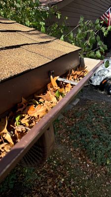 Turtle Shell gutter protection installation in Hanover Park, IL 60133, photograph 2