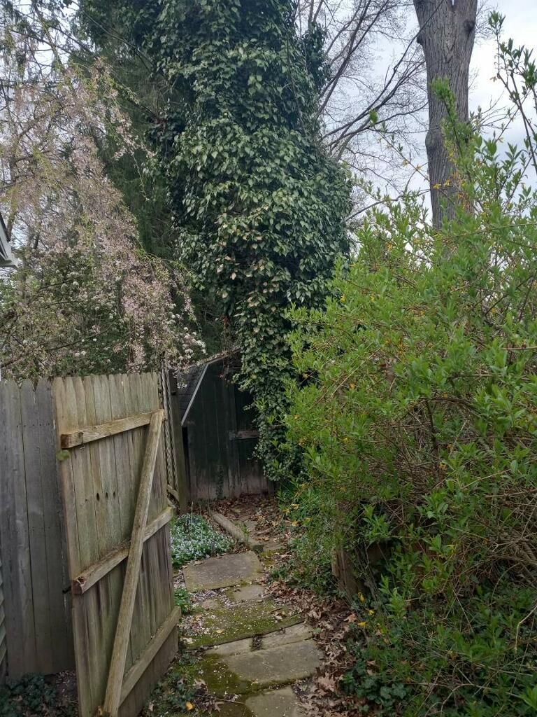 Tree Removal using Tree Removal by Mike Jones & Sons Tree Service LLC 