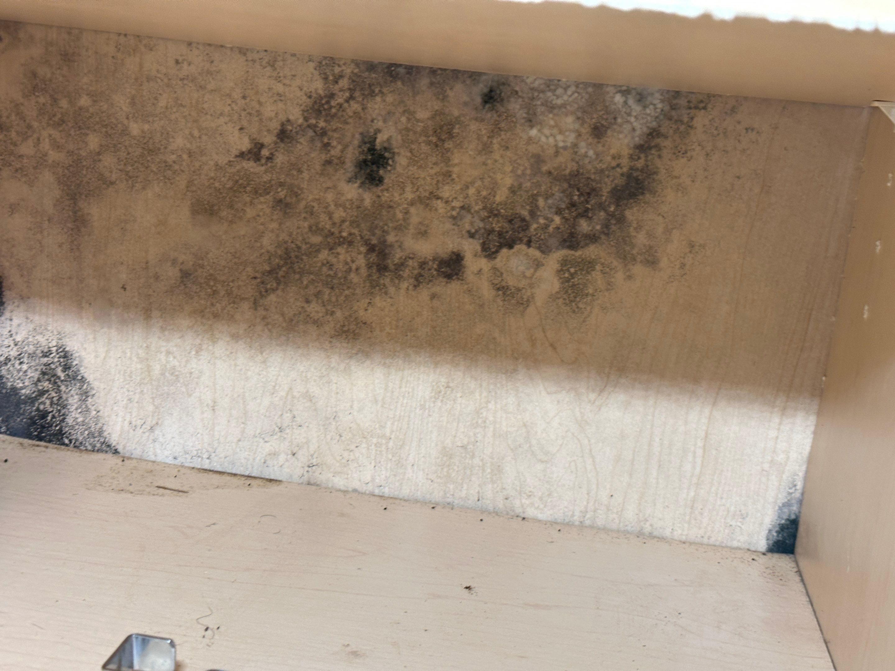 Water Damage Claim in Miramar by FLAPA & KeyStone