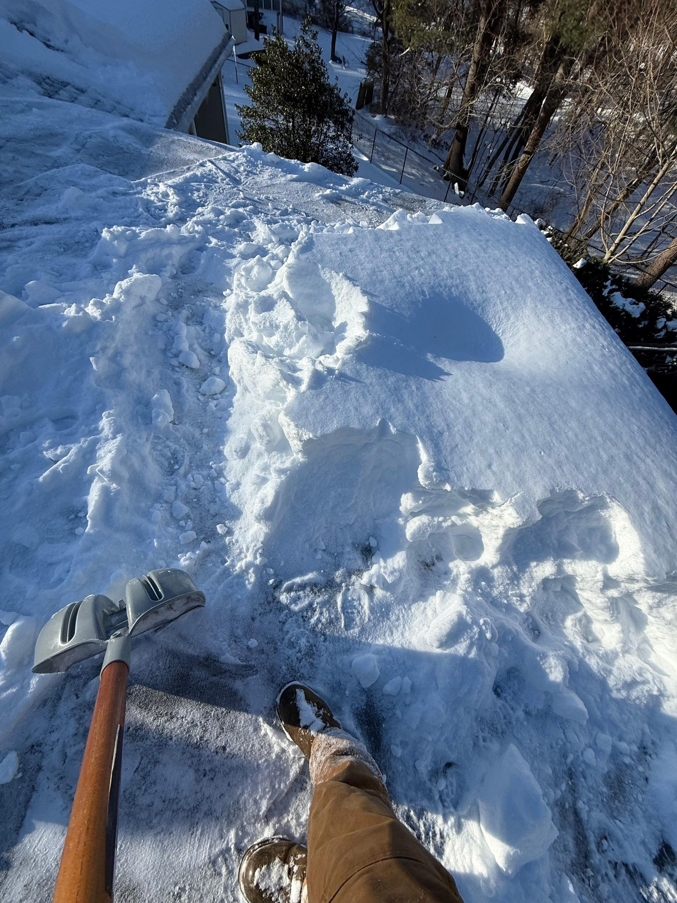 Sow Removal by Mighty Dog Roofing of Greater Middlesex County
