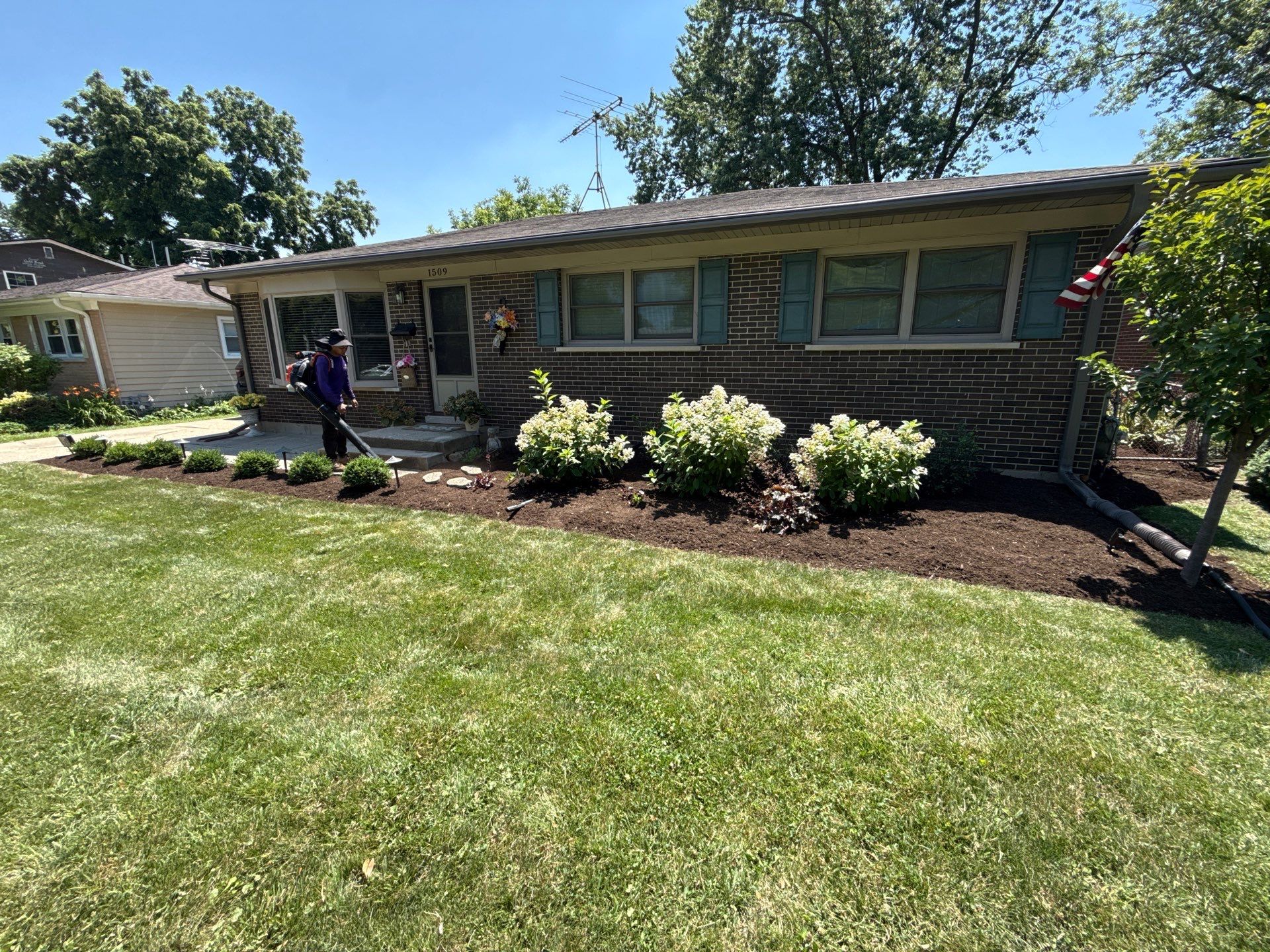Gina K. - Mount Prospect, IL by A&N 