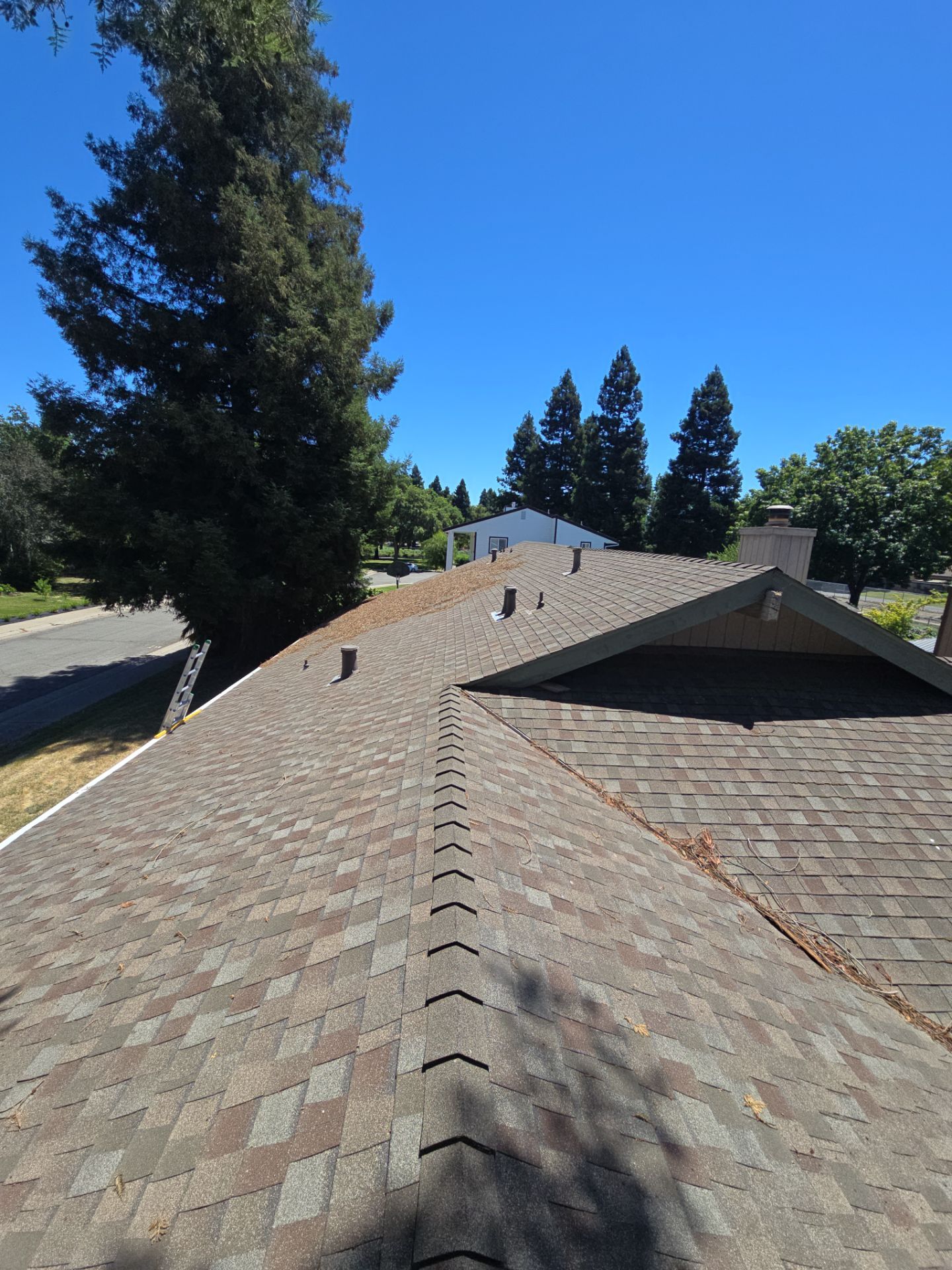 Roof Rejuvenation using Roof Maxx Treatment by Roof Maxx of Folsom