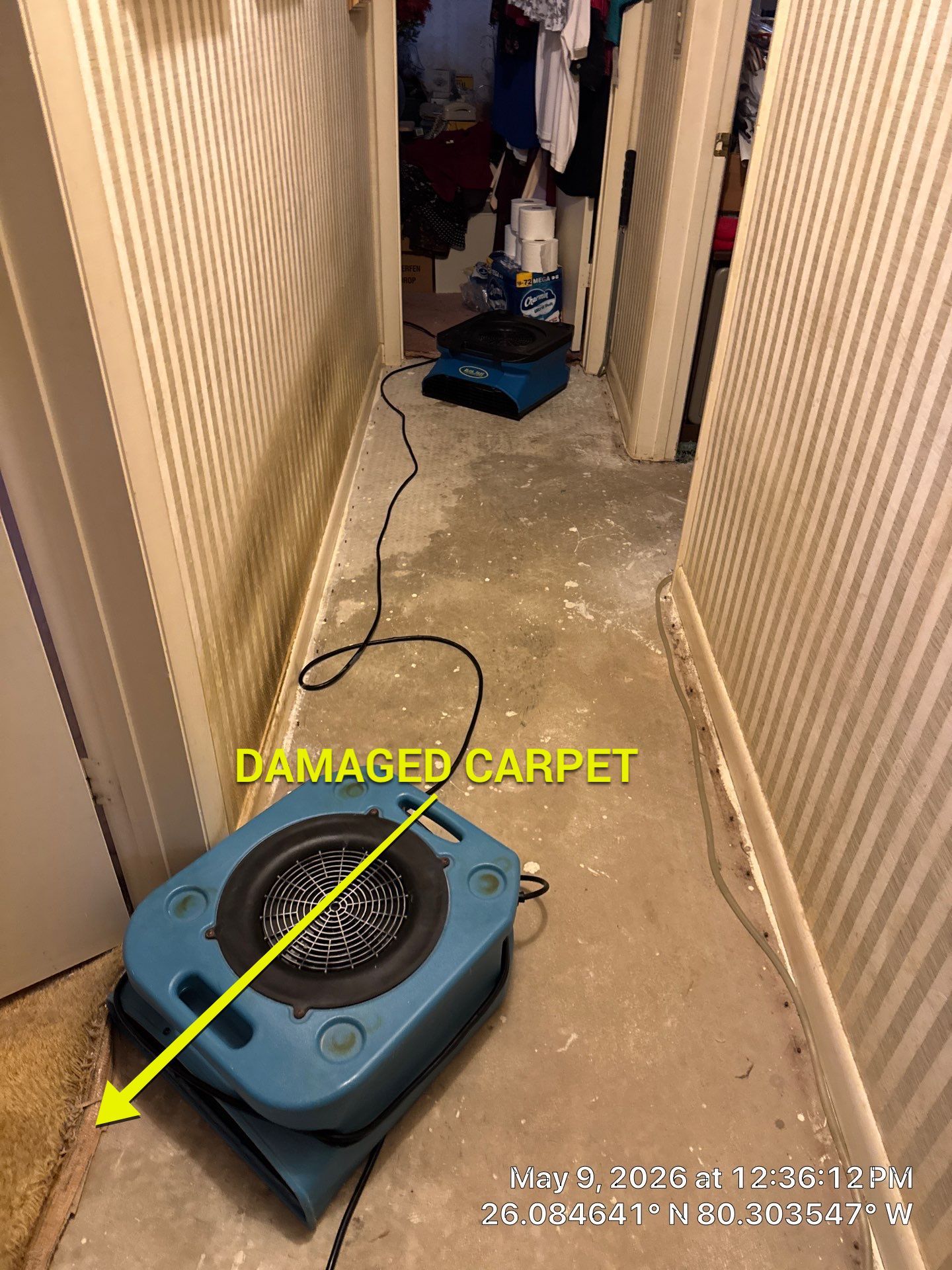 Water Damage Restoration and Structural Drying Services in Davie by SuperClean