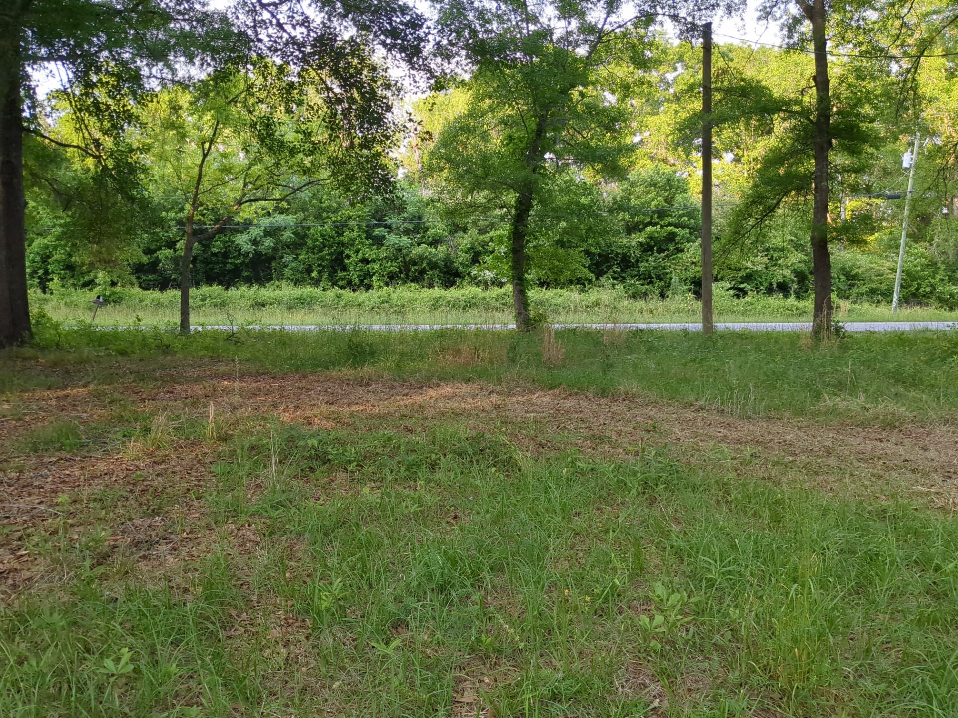Exterior Clearing - tree trimming - grass cut by Swift Signings and Services LLC