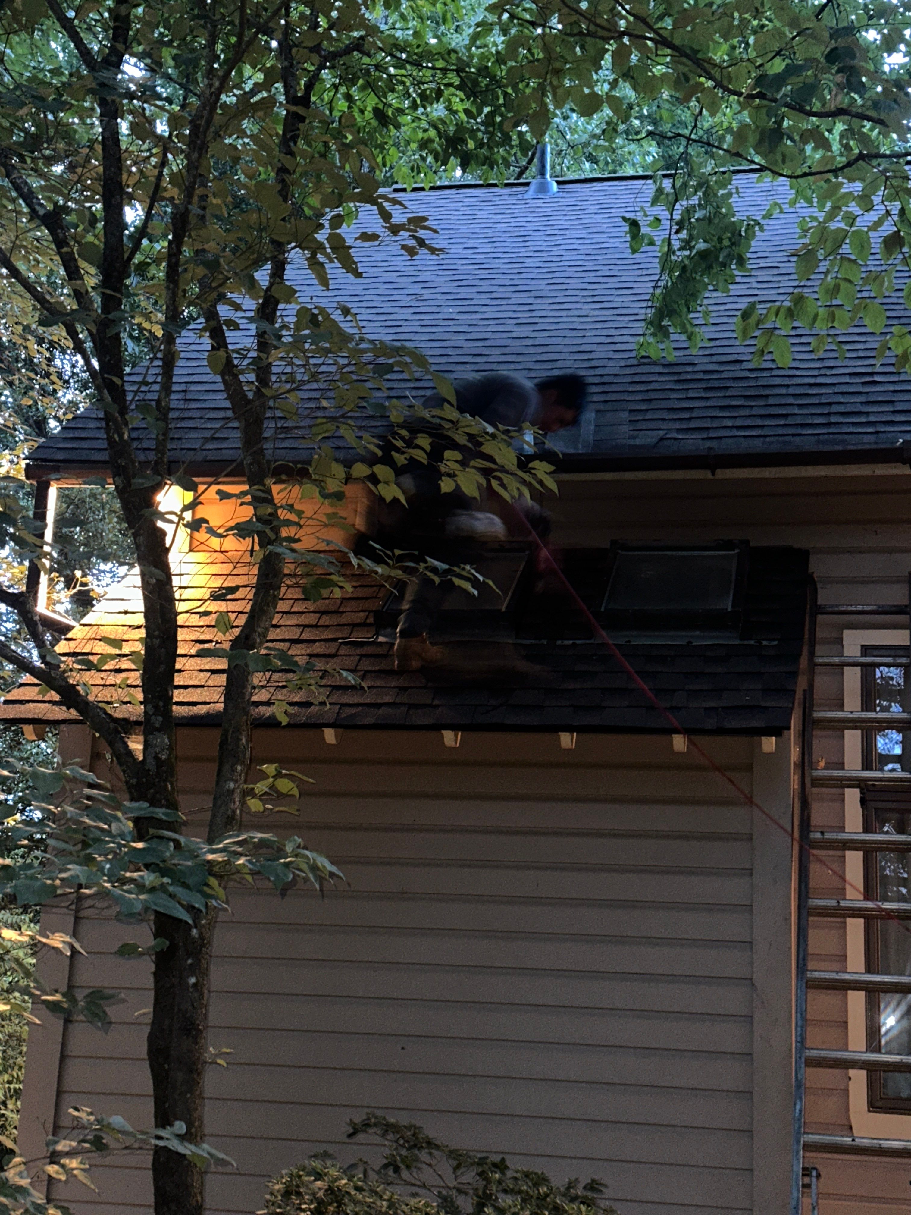 The Pierces by United Contracting and Roofing