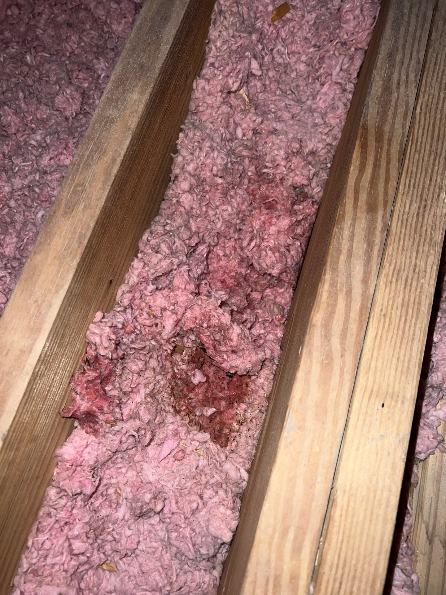 Roof Repair Pearland by Roof Repair Company
