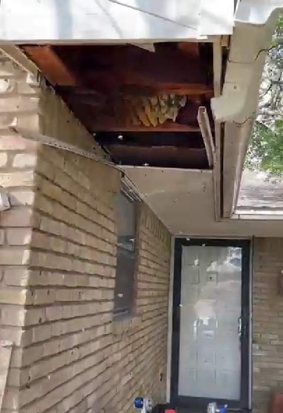 First of 2025 by Rockwall Honey Bee Company