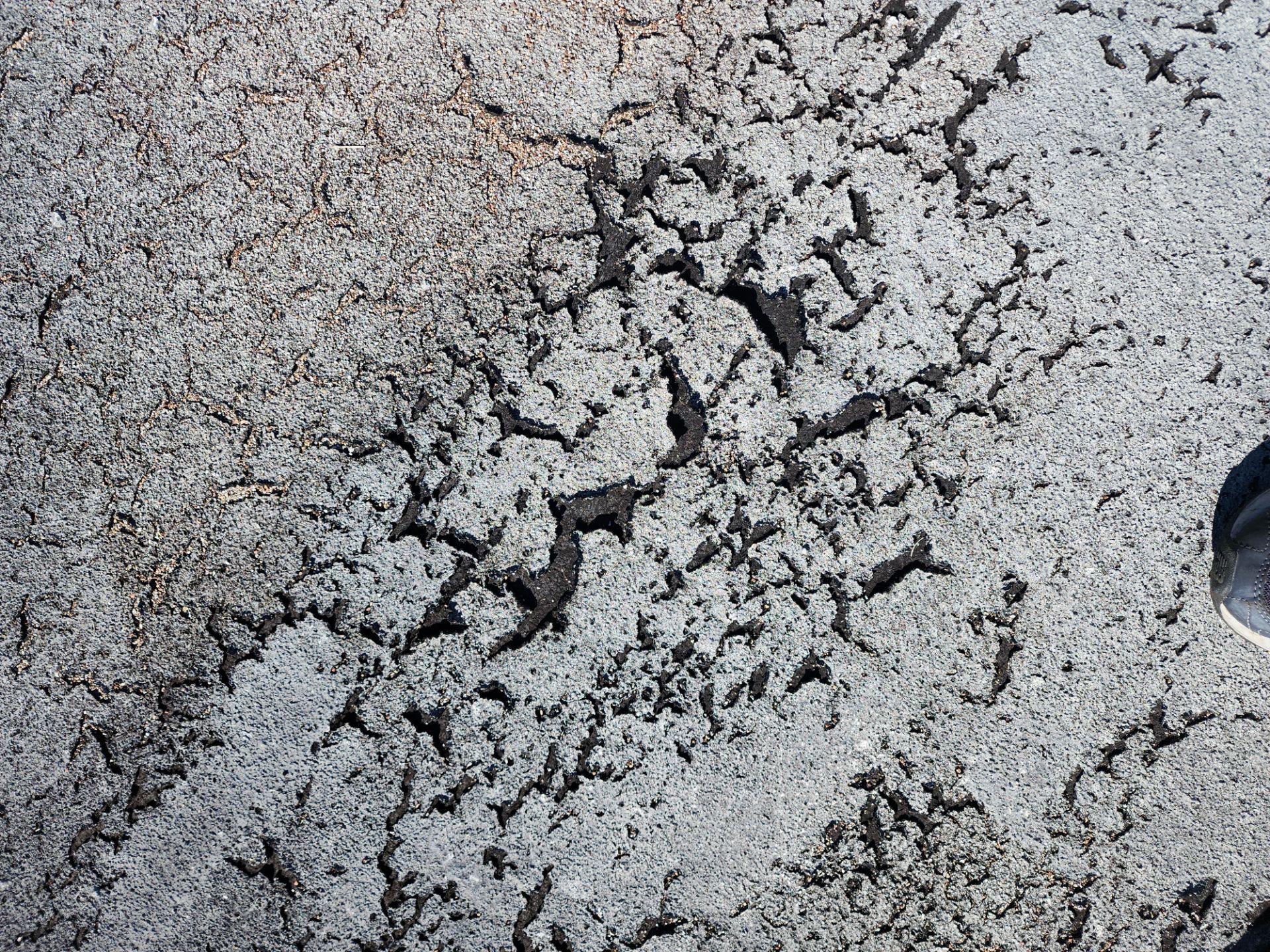Comprehensive Asphalt Shingle and Flat Roof Replacement in Maitland by Fortified Roofing Solutions Corp.