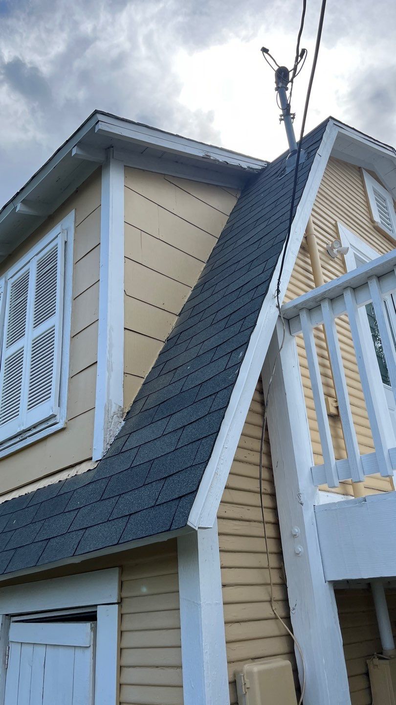 Olive you a Lot! by Bayfront Roofing and Construction