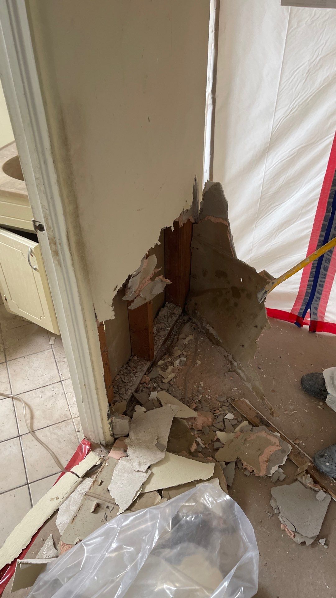 Mold Remediation  by THE RAPID TEAM