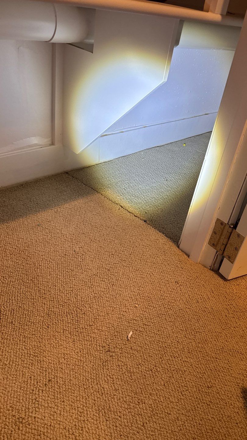 Mold Project in Englewood by Accountable Home Services