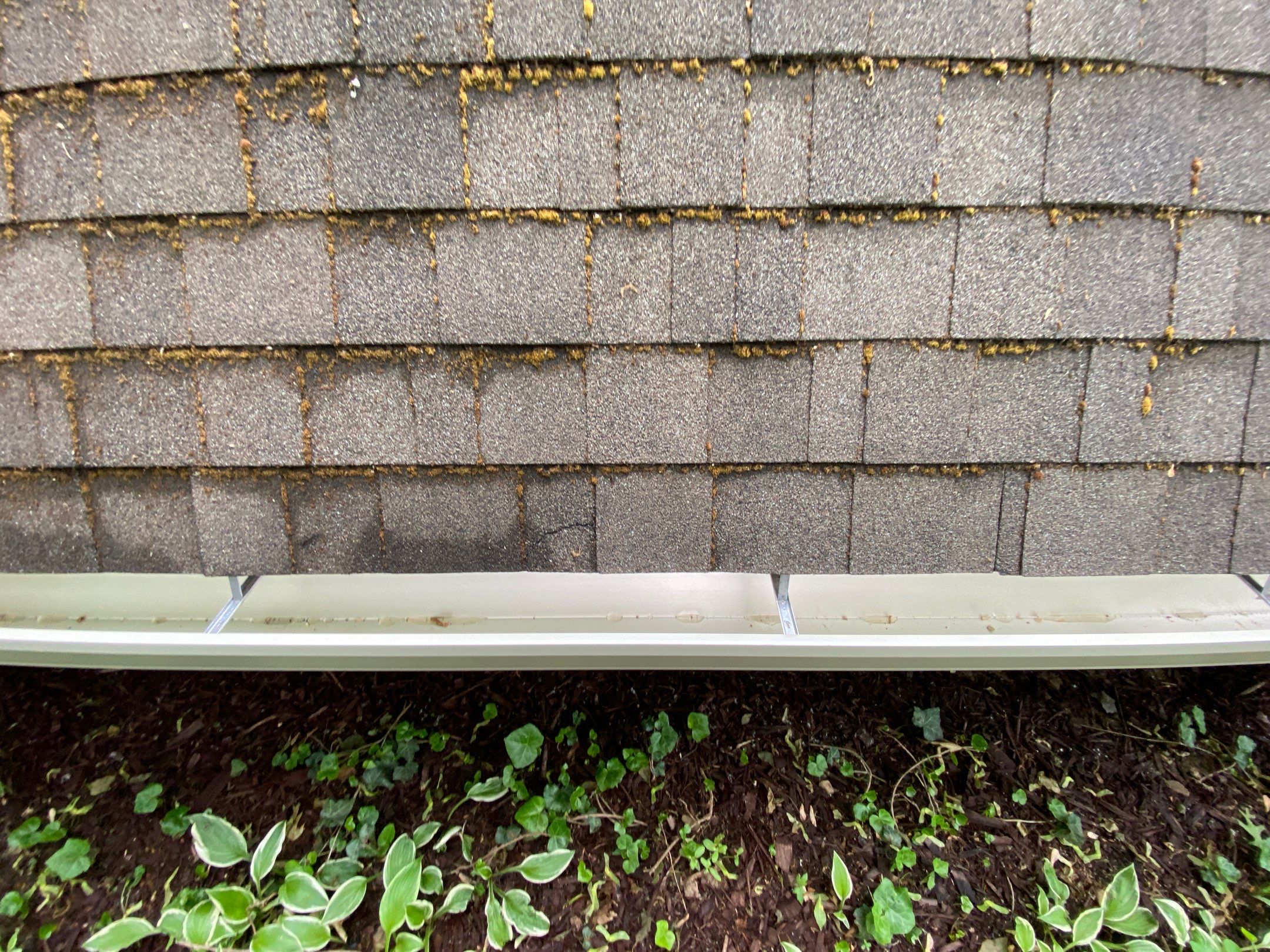 Siding Replacement using CertainTeed Restoration Classis D4 by 180 Contractors