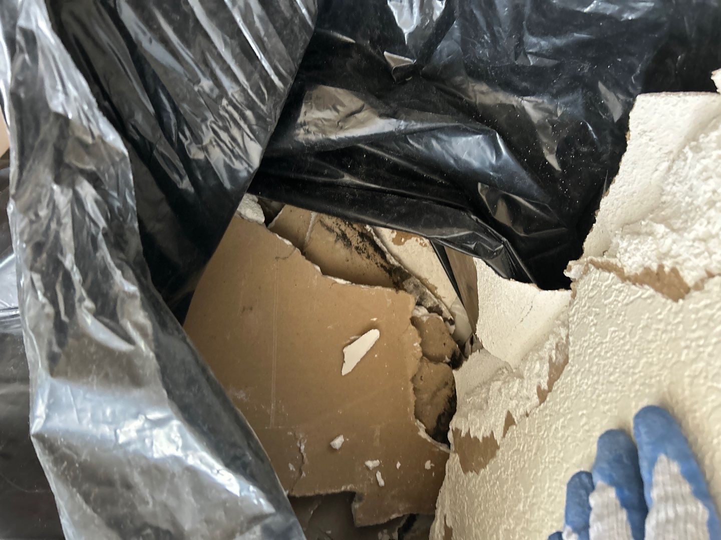 Mold Remediation by Accountable Home Services