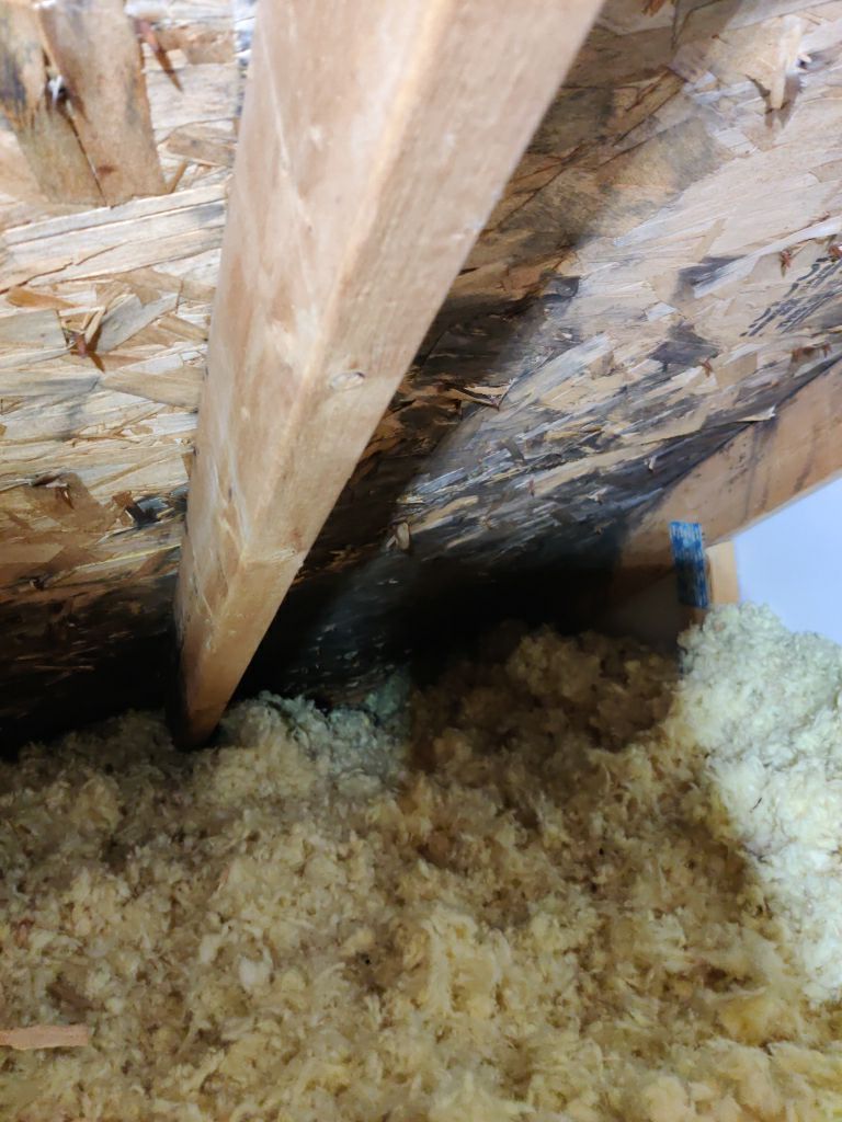 Mold Remediation Cleanup in Attic by Accountable Home Services