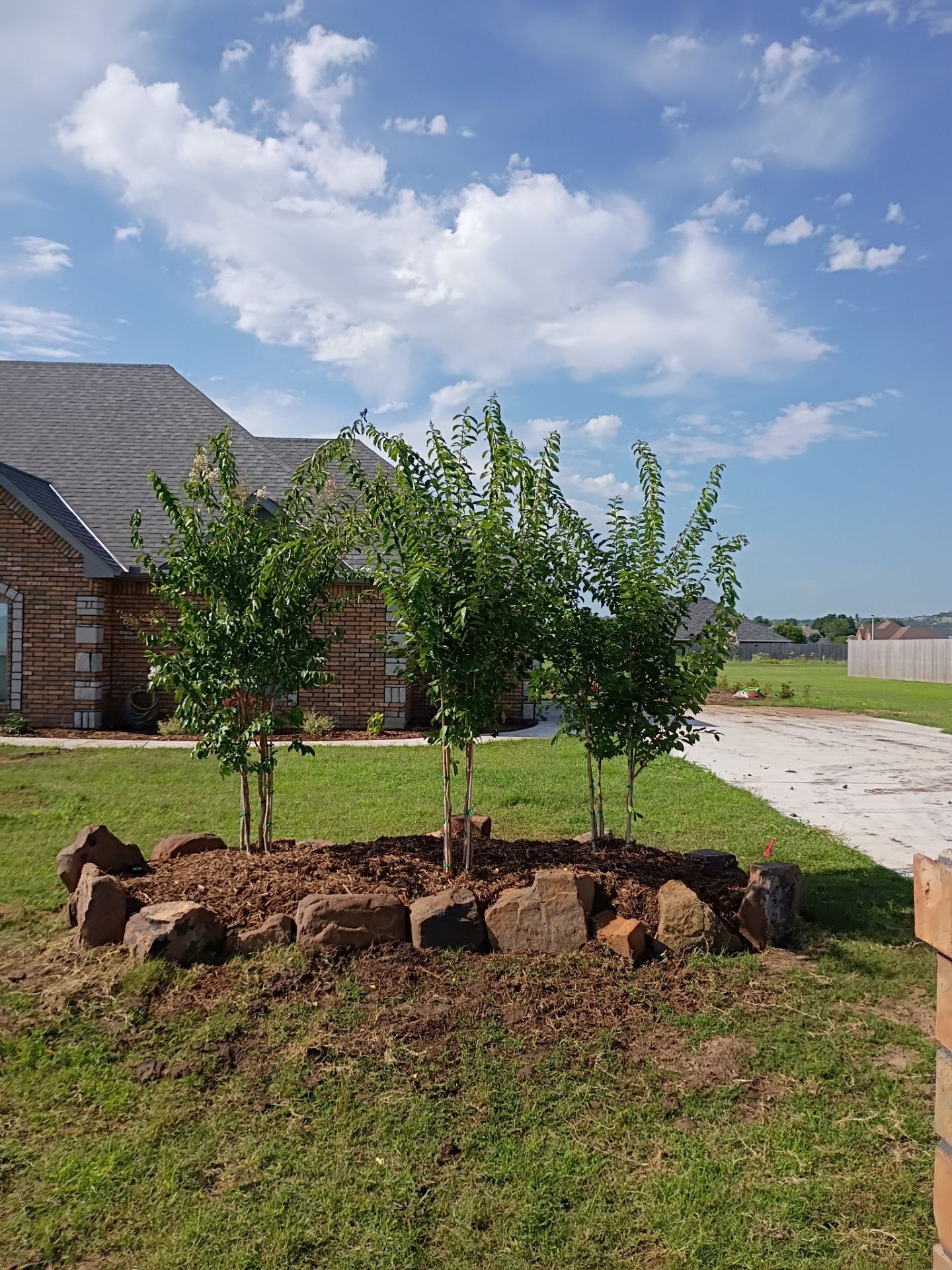 Custom Metal Pergola , Live Fence , Irrigation, Concrete, And Landscape by Clays Services Inc
