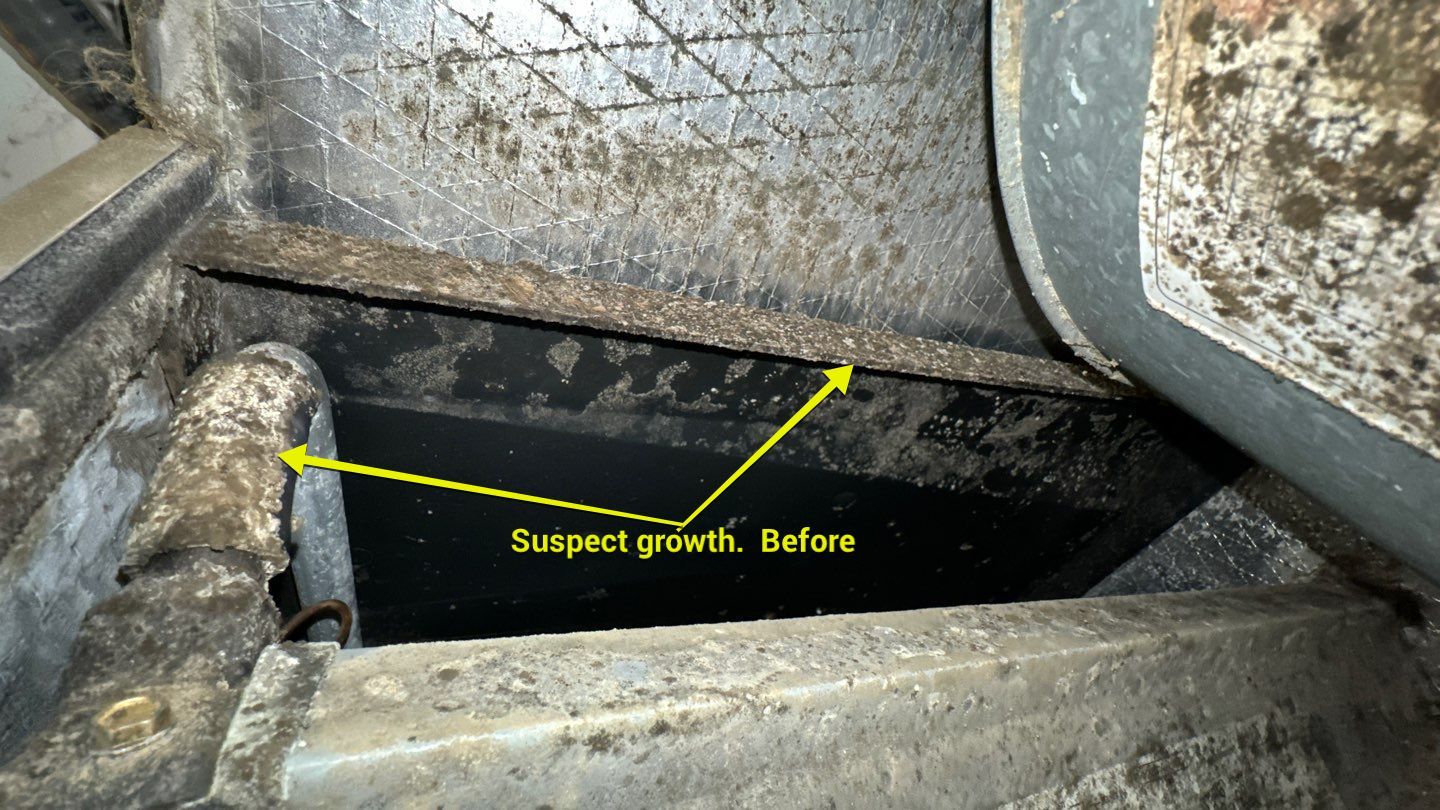 Air Duct Cleaning in Tavares by Hygienic Air, Inc