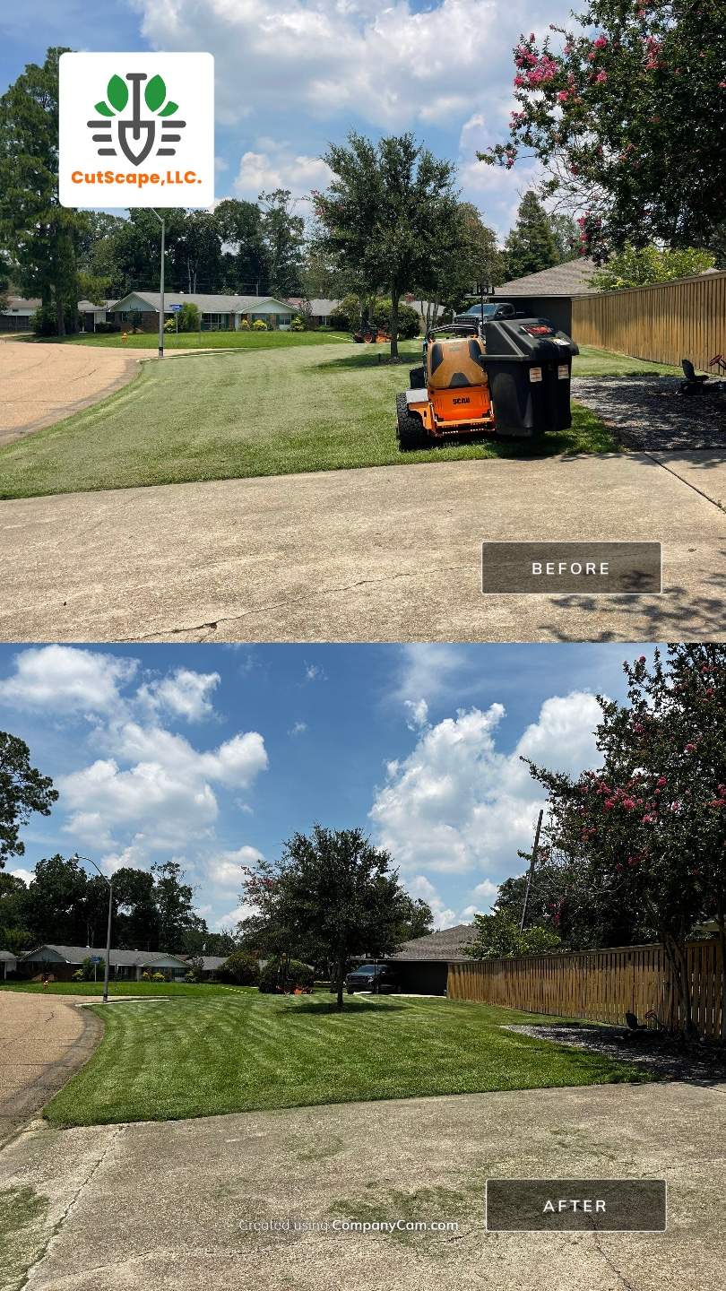 RESIDENTIAL LAWN MAINTENANCE: *OPTIONAL* VAC & BAG GRASS CLIPPINGS AND DEBRIS WITH SCAG GRASS CATCHERBAGGING GRASS CLIPPINGS AND DEBRIS WITH SCAG GRASS CATCHER by CutScape, LLC.