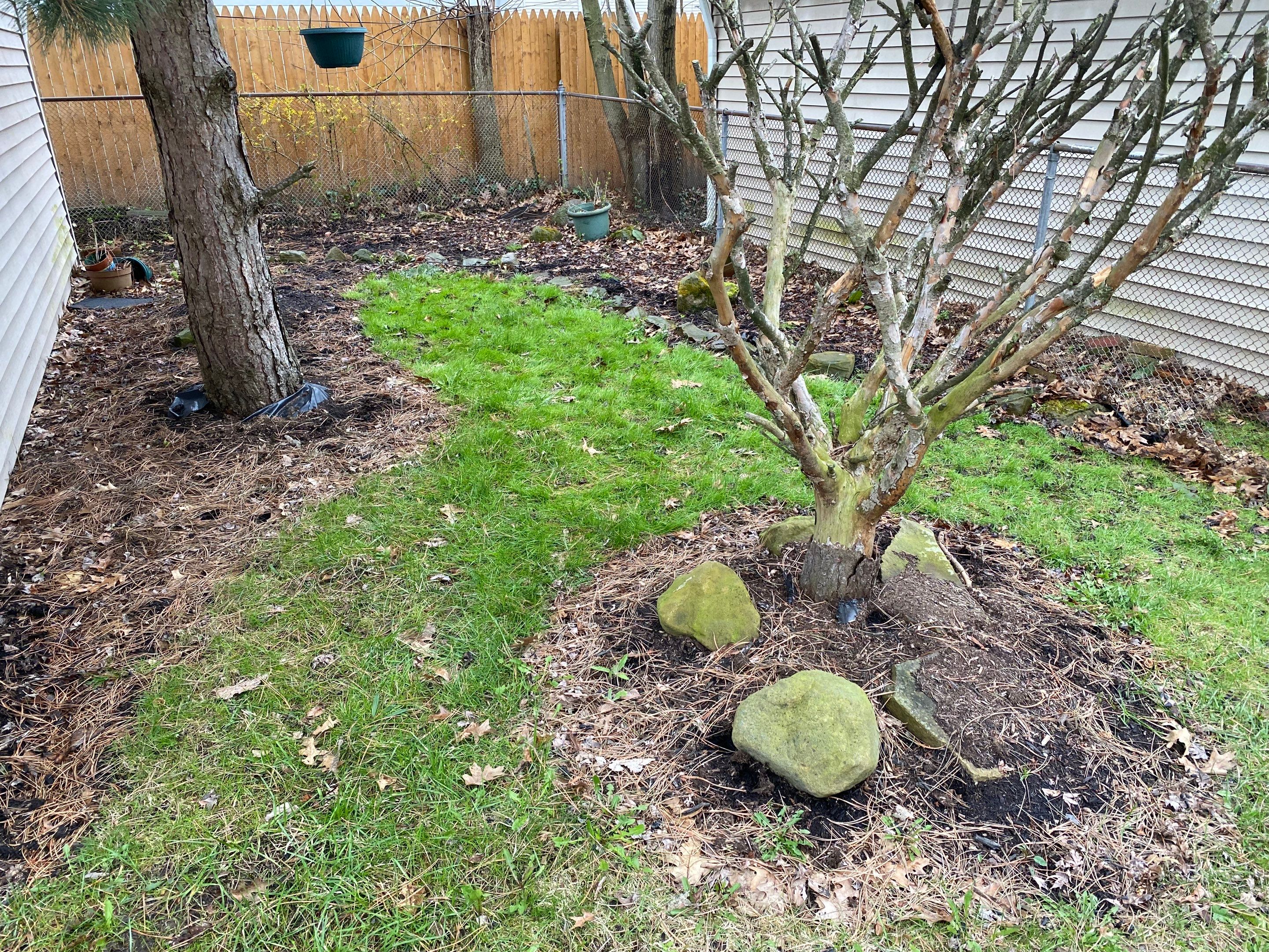 Backyard Install by Elm Rose Gardens
