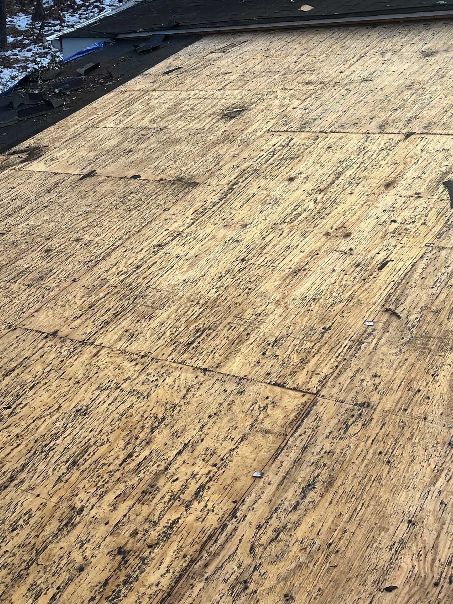 Project in Rockville by Elvis General Construction LLC