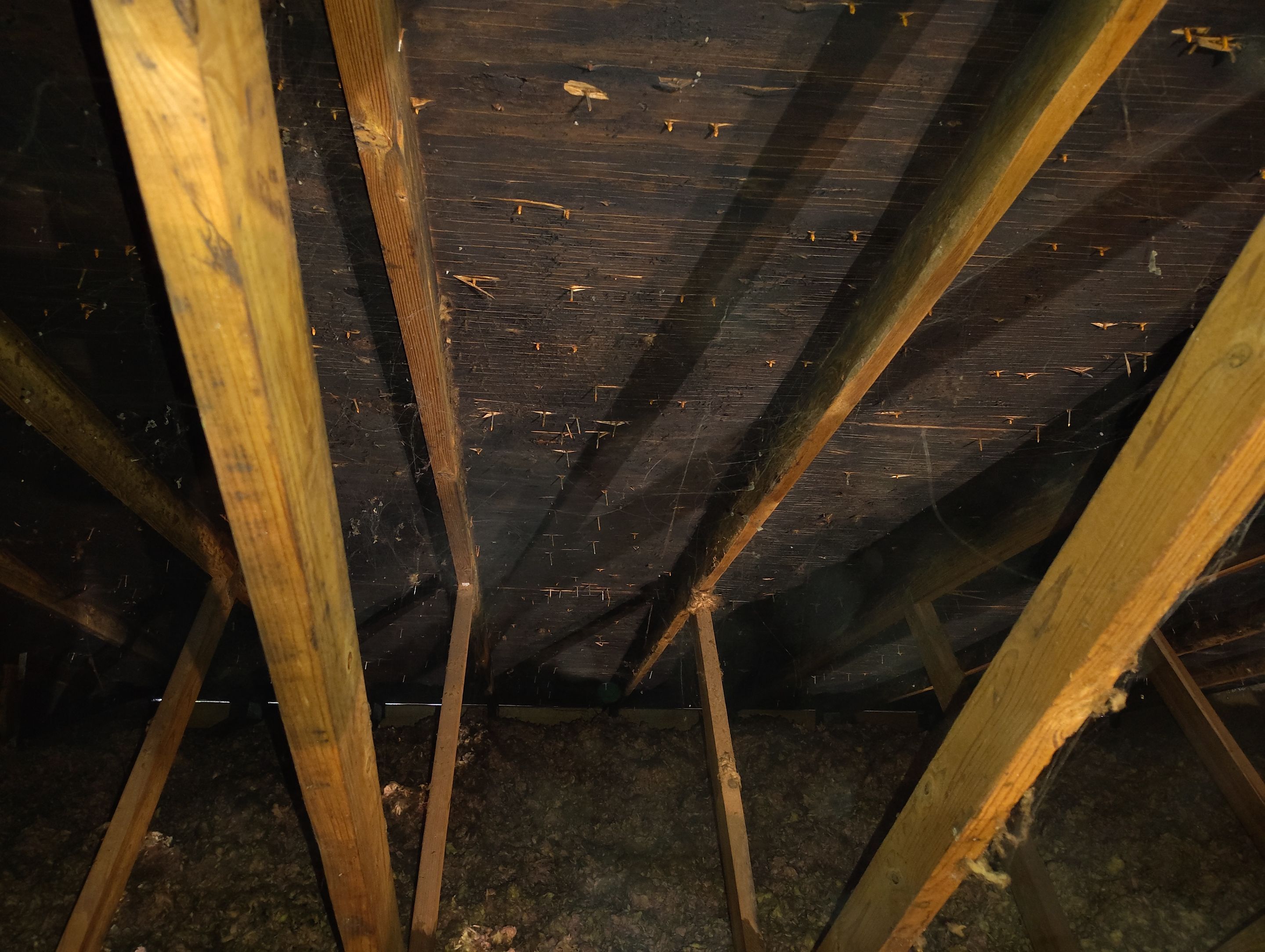 Air Sealed and Insulated Attic using TruSoft Cellulose insulation by Home Environment Solutions