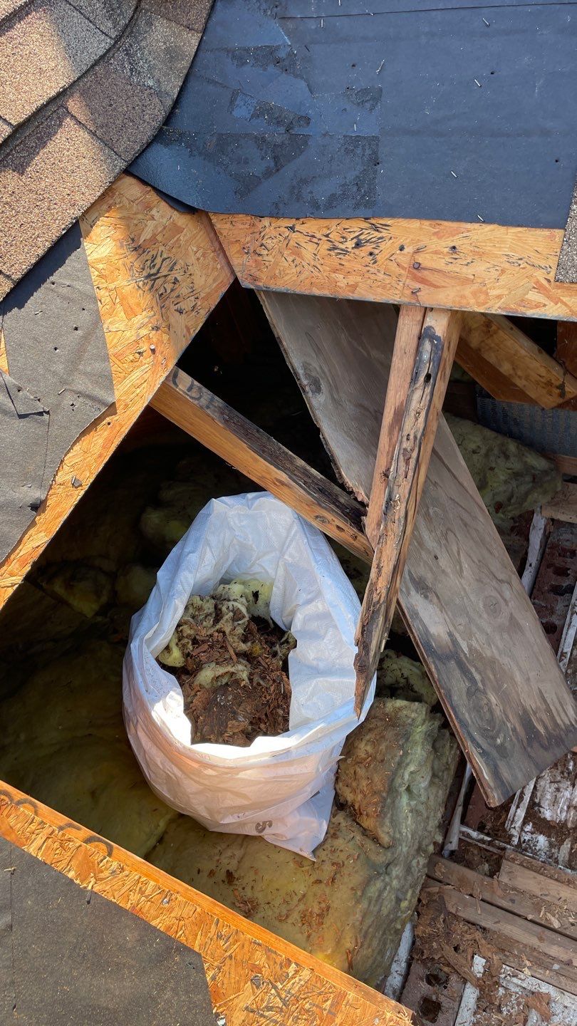 Residential Roof Leak Repair and Structural Wood Replacement in Frederick by Frederick Roof Repair
