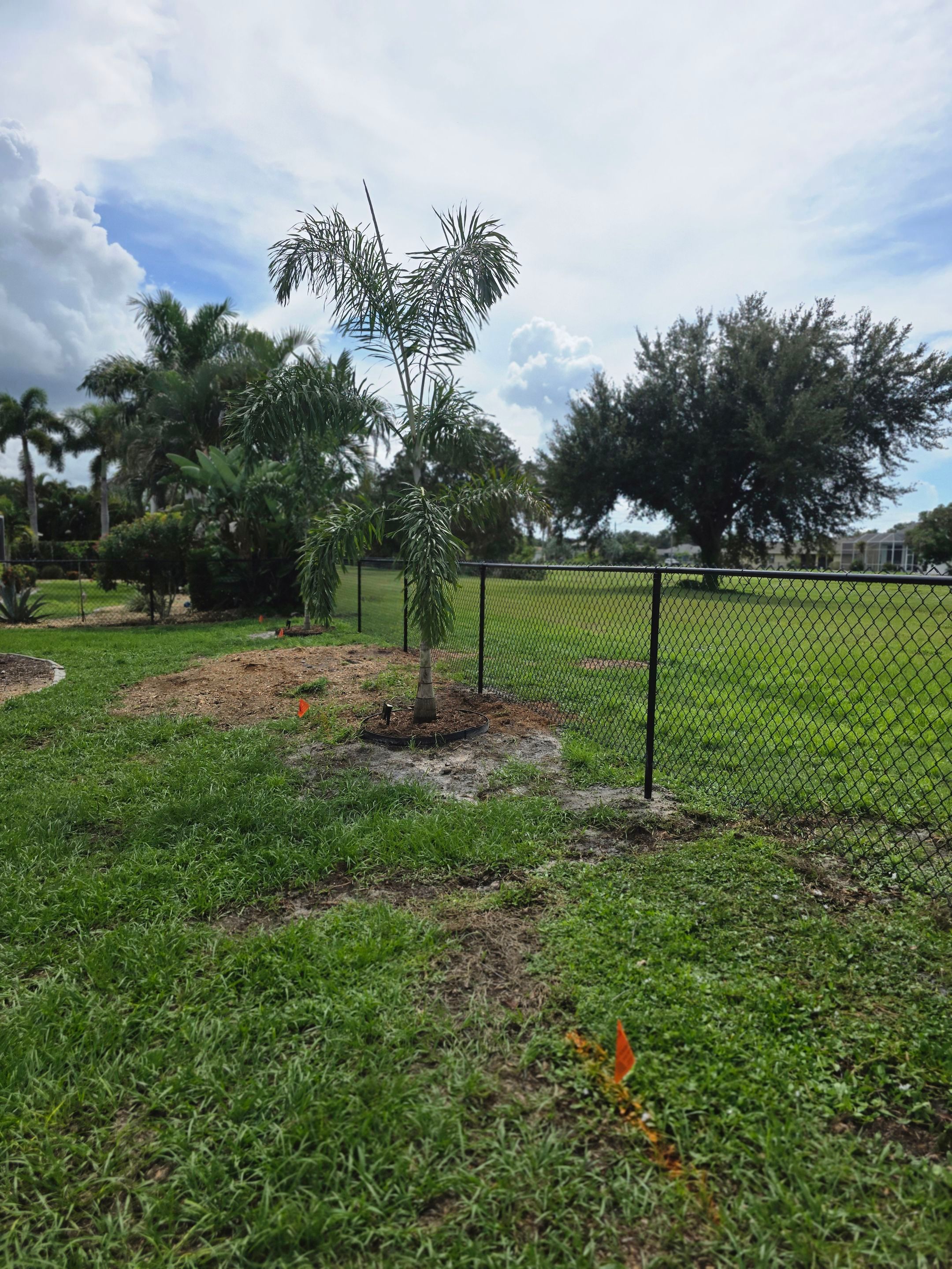 Black Vinyl-Coated Chain Link Fence Installation in Punta Gorda by True Fence LLC