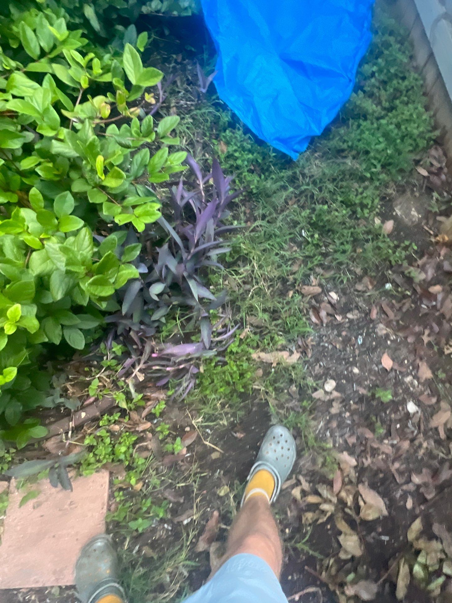 Project in Austin by Rhino Roofing and General Contracting, LLC