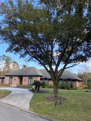 Deerwood Resident | General Landscaping