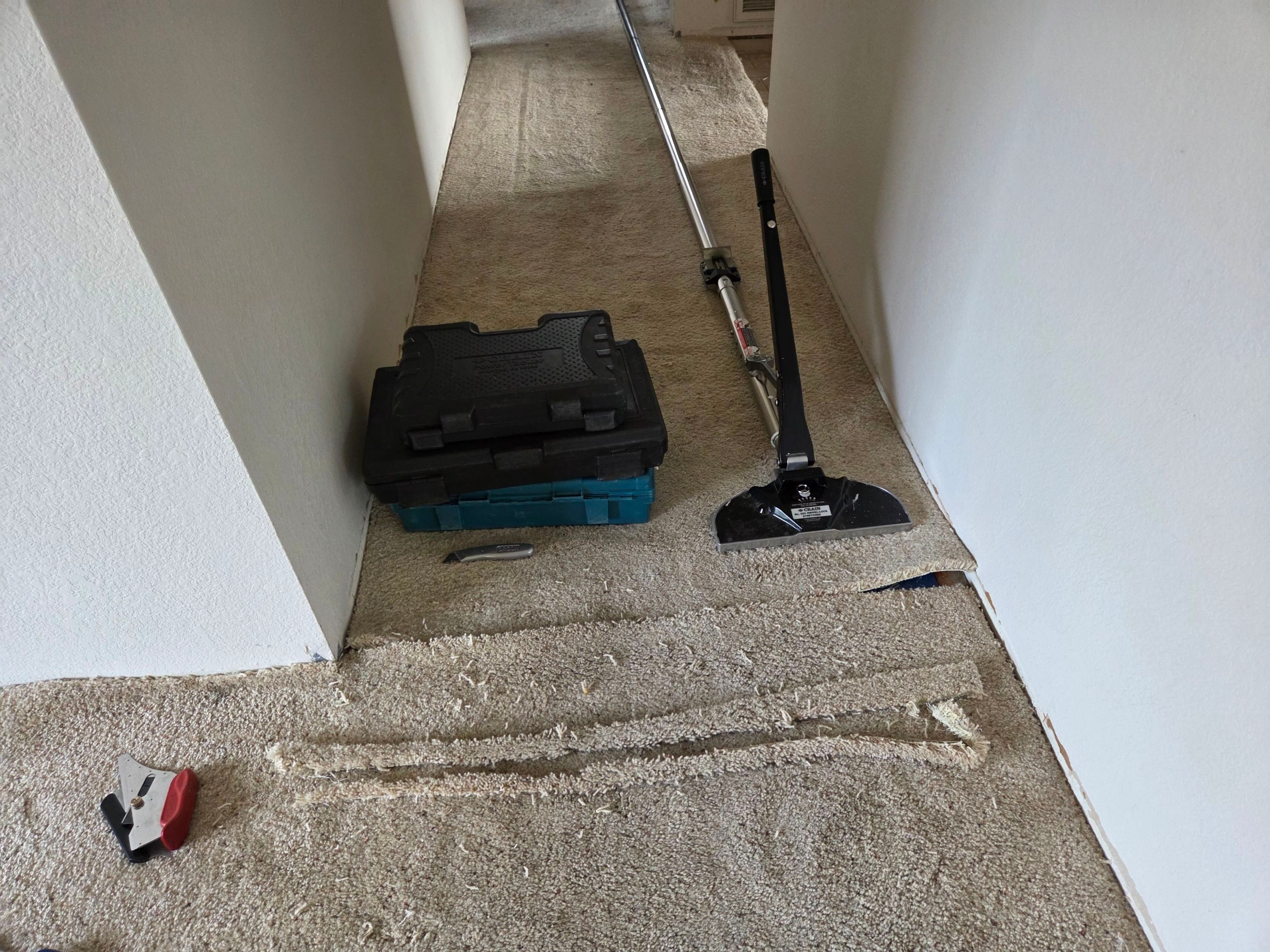 Carpet Re-stretching & Cleaning in Rosemont by Ardent Carpet Restore LLC