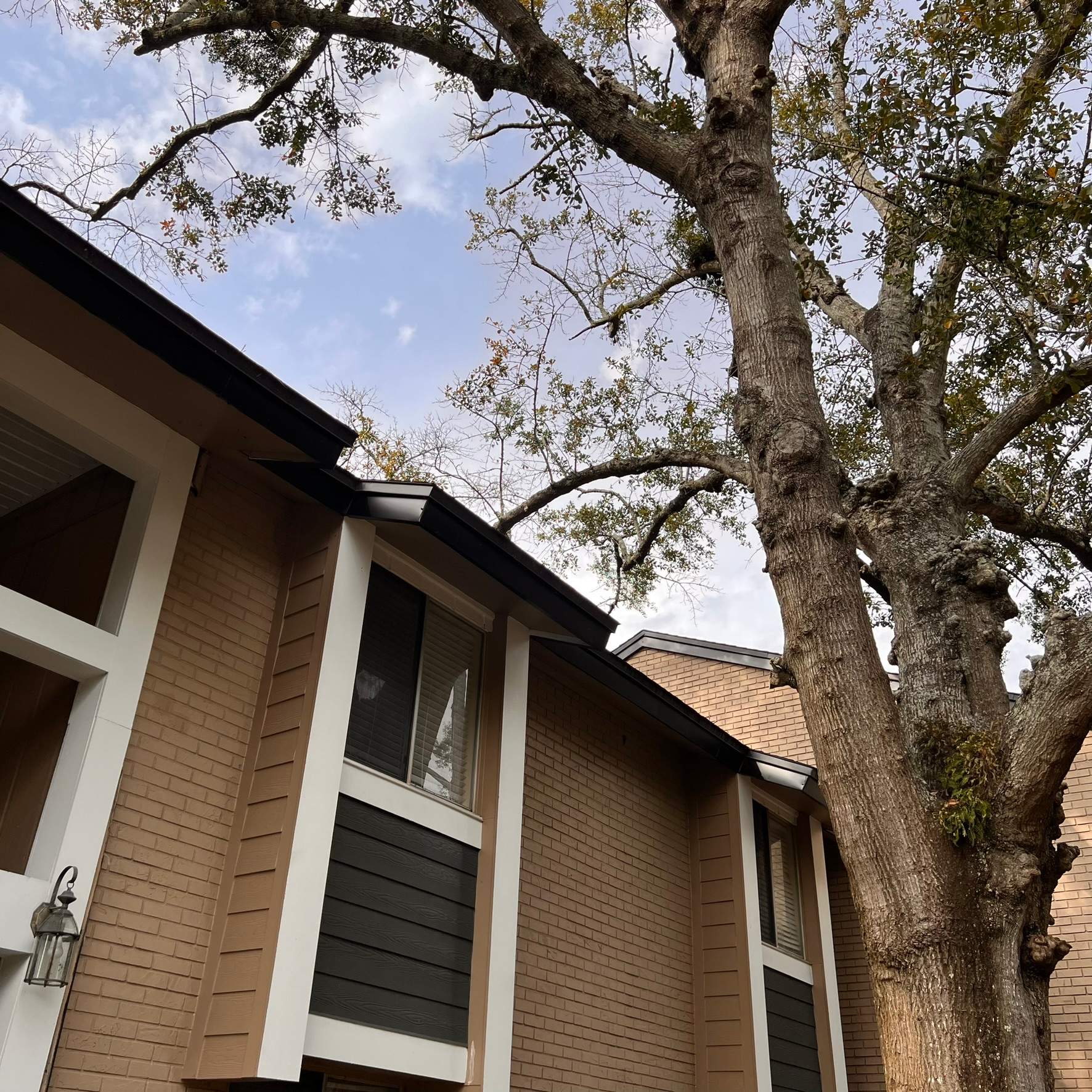 Tree Trimming | Preserve at San Jose by ProGreen Services