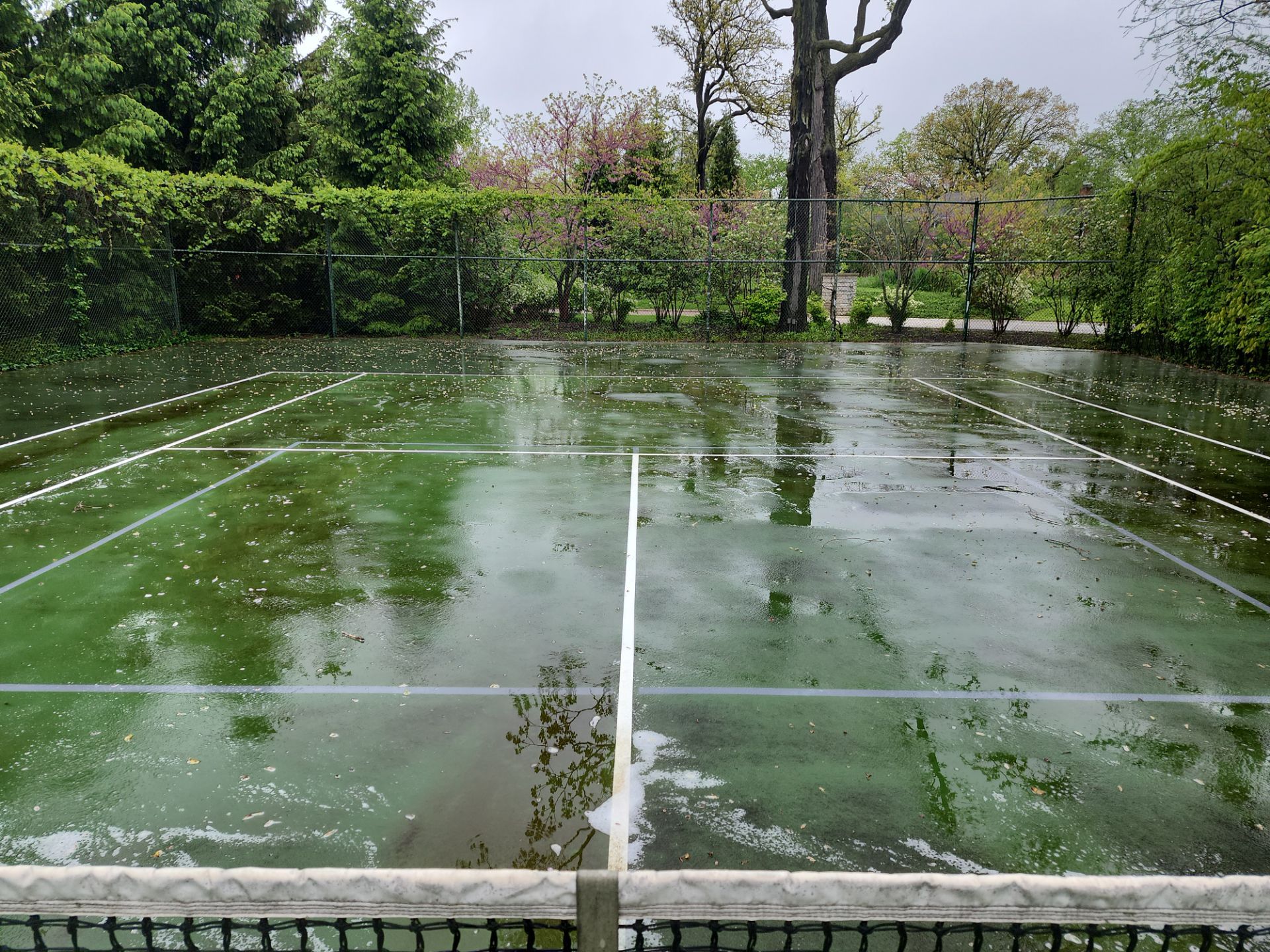 Tennis Court using Algaecide, soft wash soap by Northern Power Washing LLC.