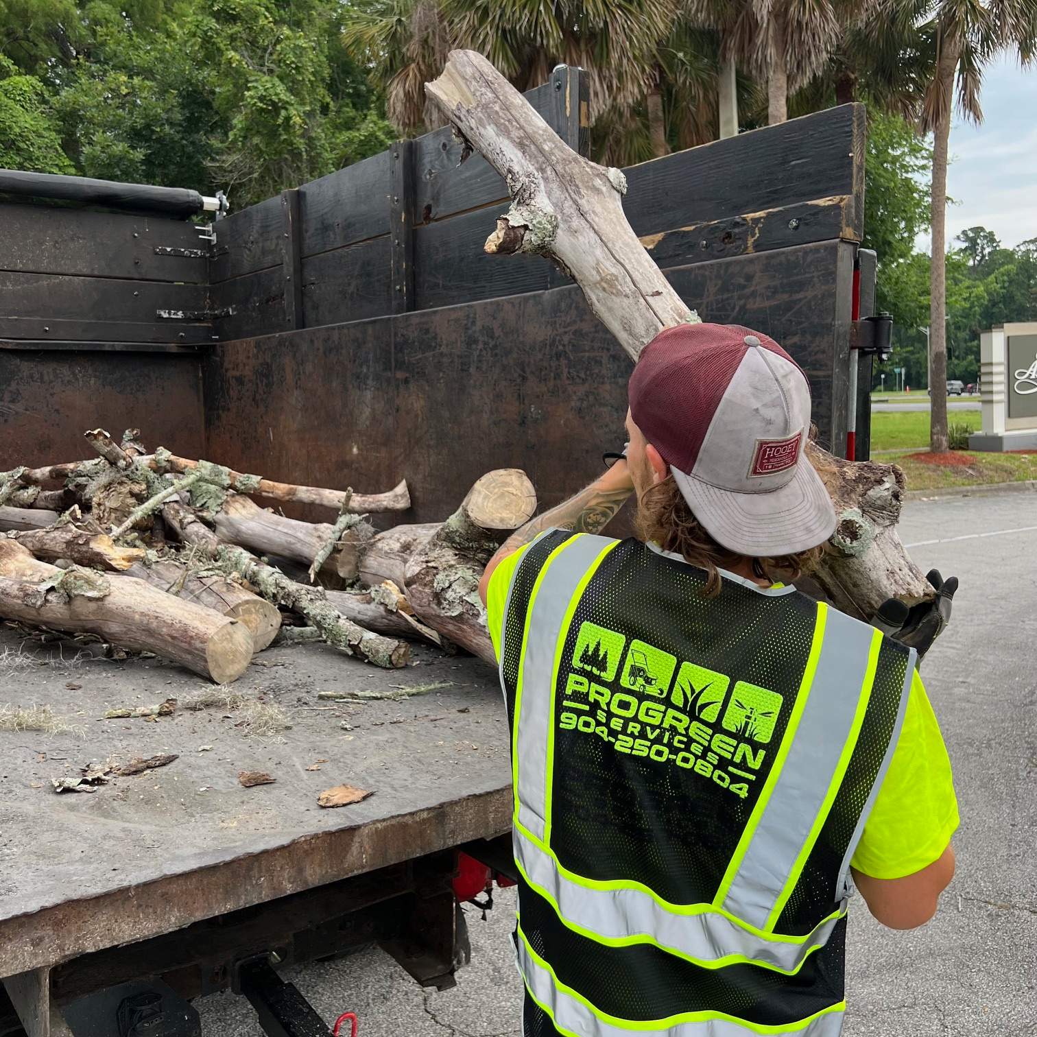 Tree Removal | Avenues Mall by ProGreen Services