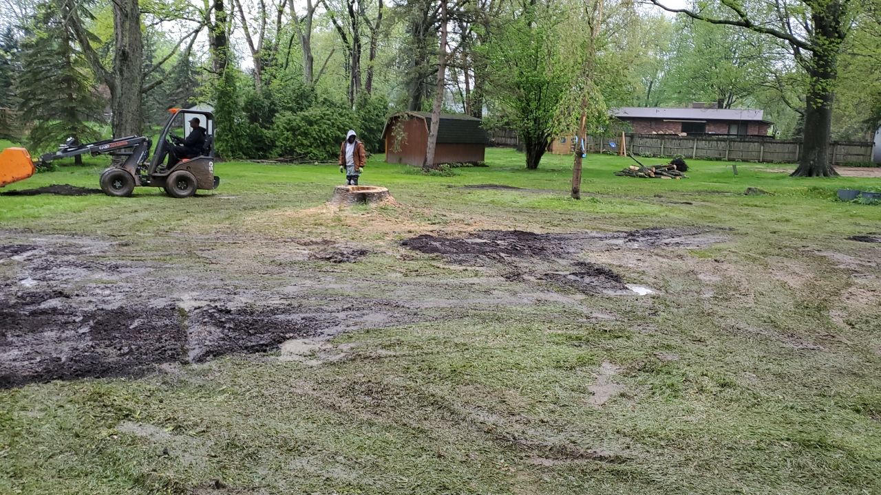 Tree Removal using Tree Removal by Mike Jones & Sons Tree Service LLC 