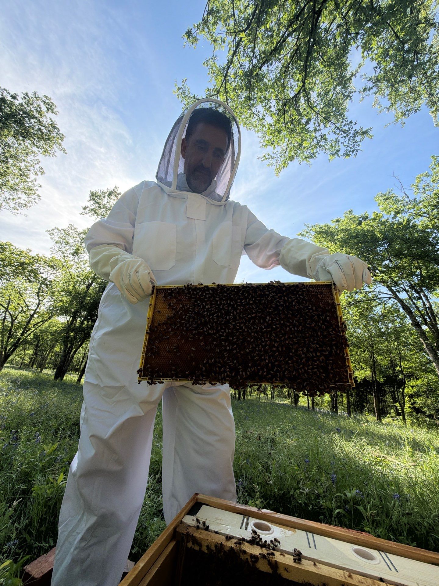 New Beekeeper in Maypearl by Rockwall Honey Bee Company