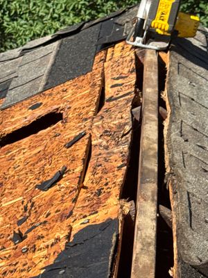 Roof Repair Spring