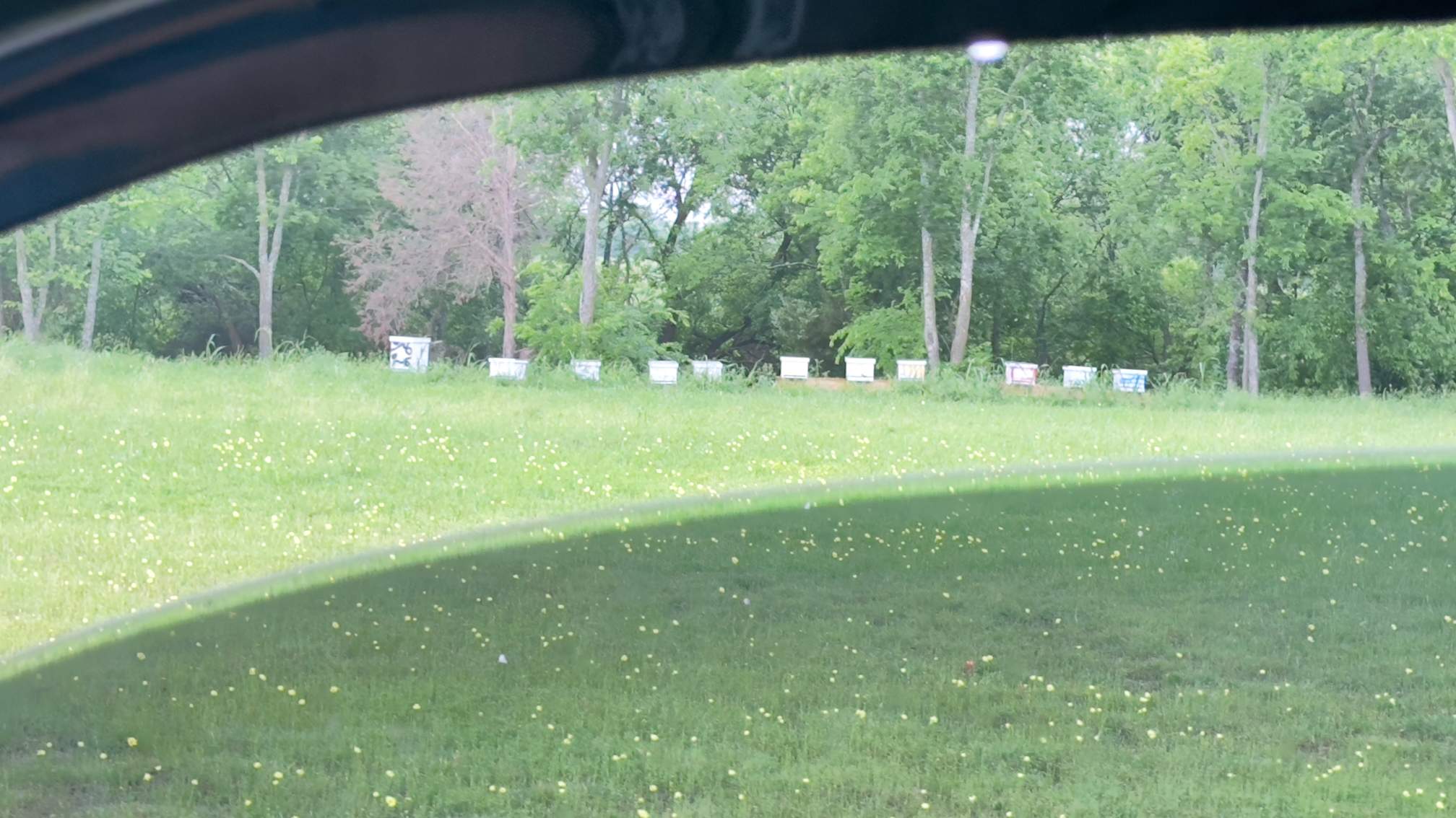 Spray Foam Chewers by Rockwall Honey Bee Company