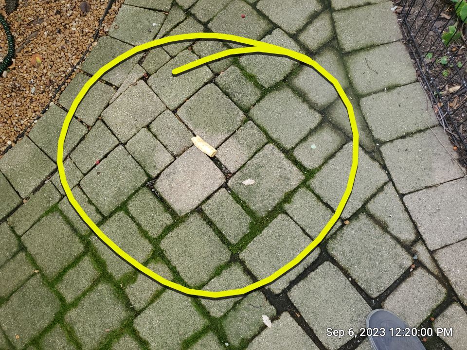 Brick paver clean, sand and seal.  using Surebond SB-1300 by Northern Power Washing LLC.