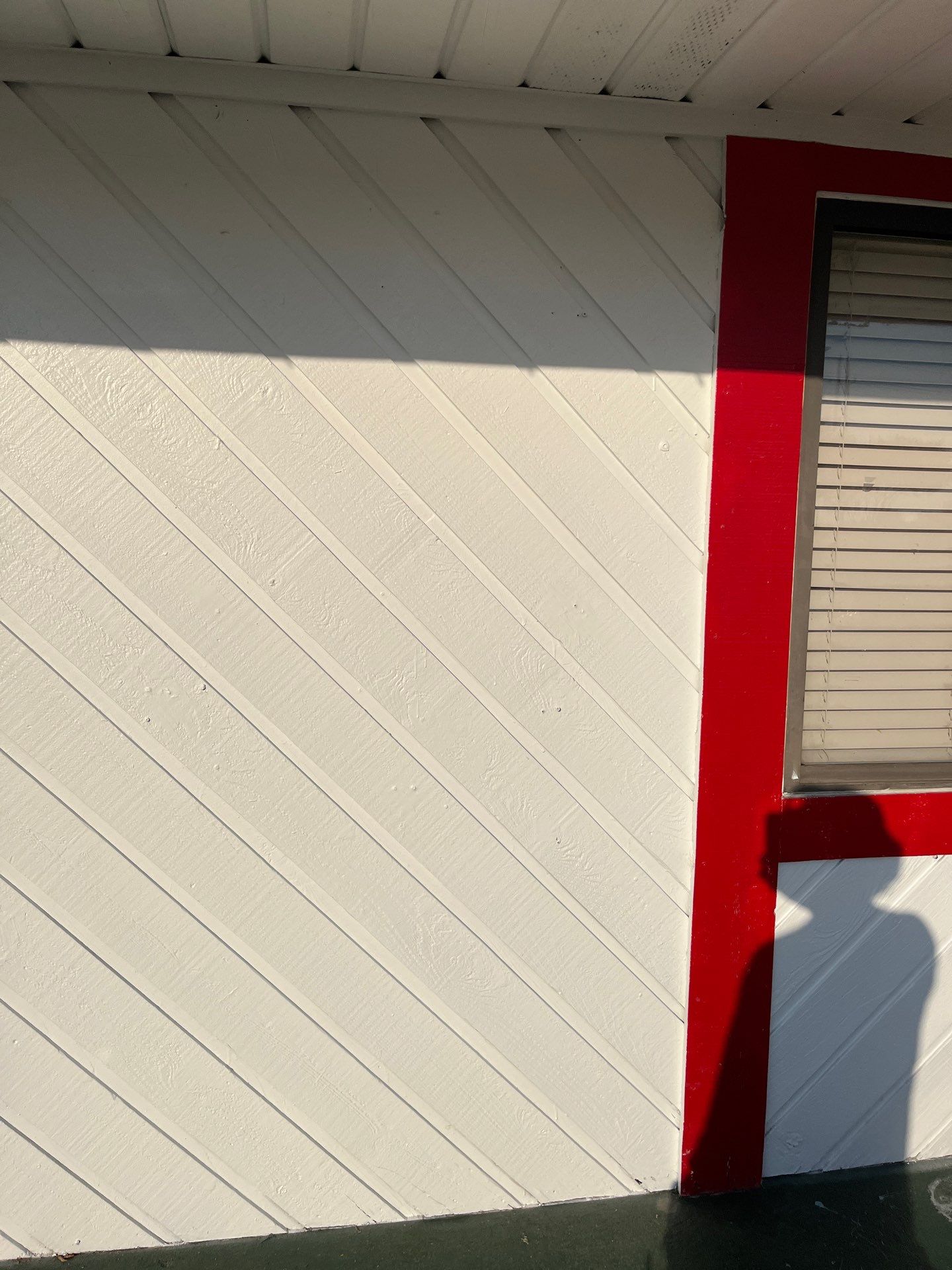 Local Day Care by Springtree Restoration 