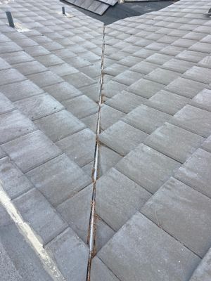 Windermere Concrete Tile Roof Repair and Protective Mesh Installation