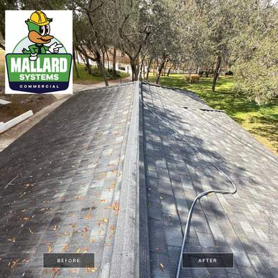 Stone-Coated Metal Roof Cleaning